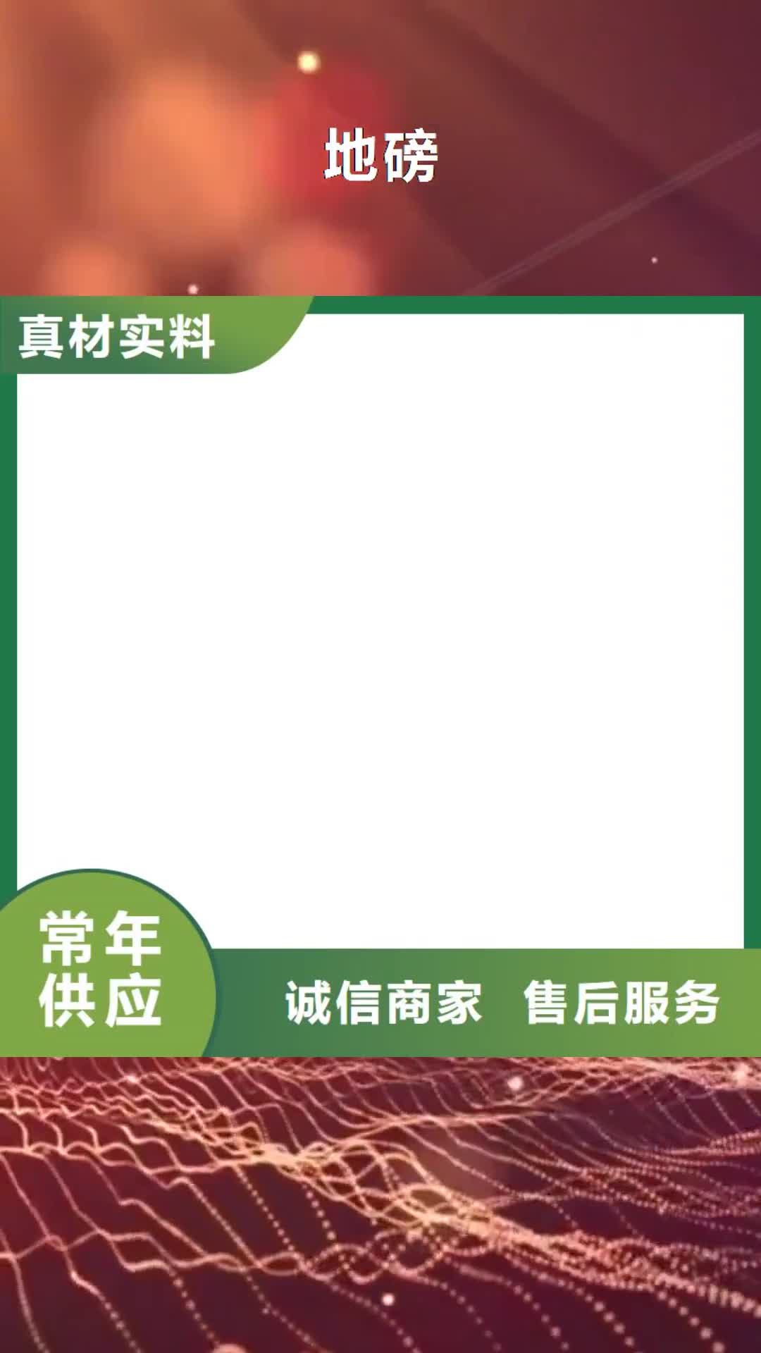 【承德 地磅 电子地磅实地大厂】