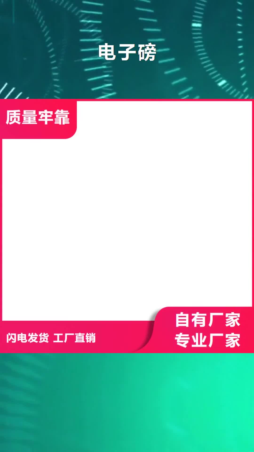 湘潭 电子磅-【地磅】制造生产销售