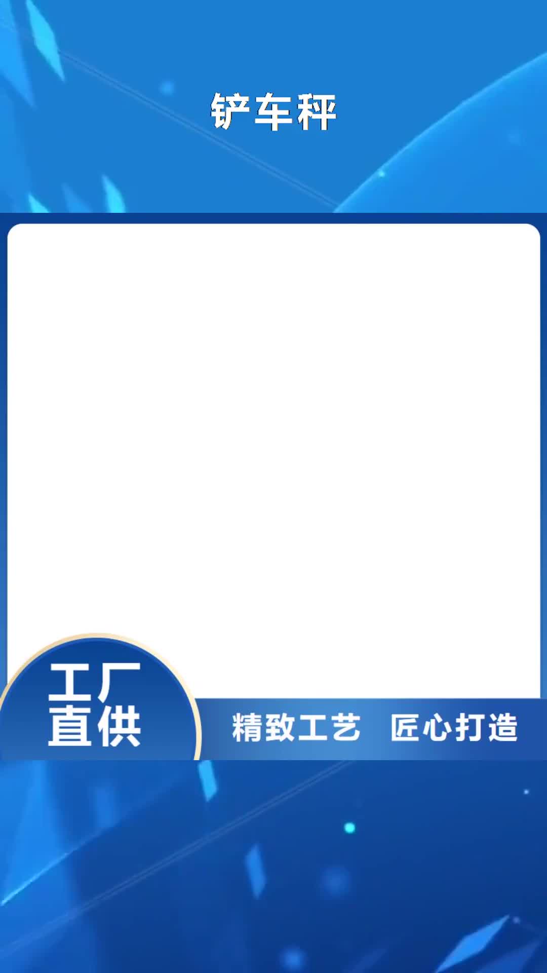 衡水 铲车秤 【地磅维修】买的是放心