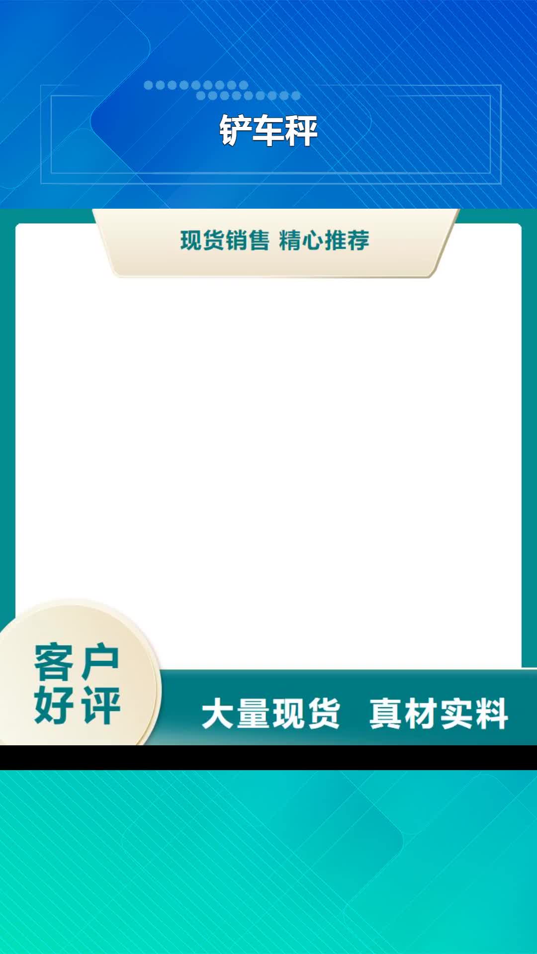 新乡【铲车秤】 地磅仪表源头厂家量大价优