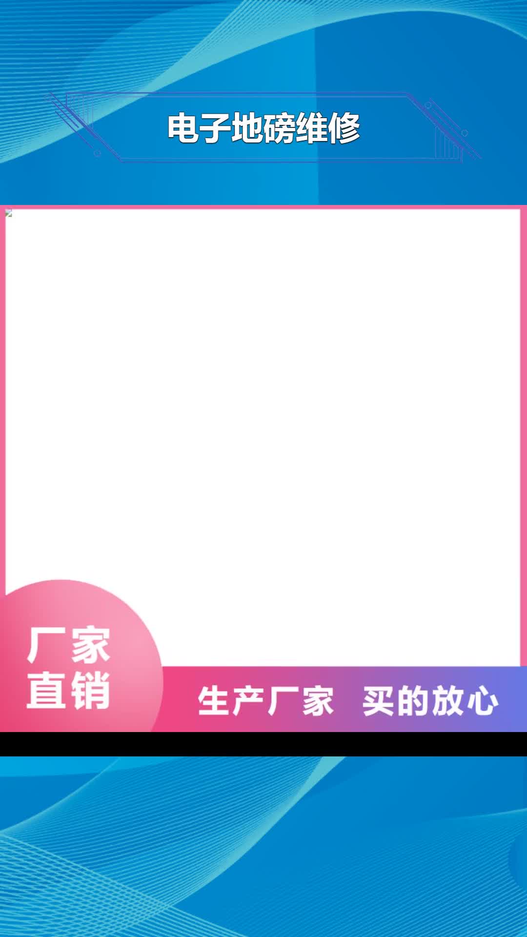 陕西 电子地磅维修支持大批量采购