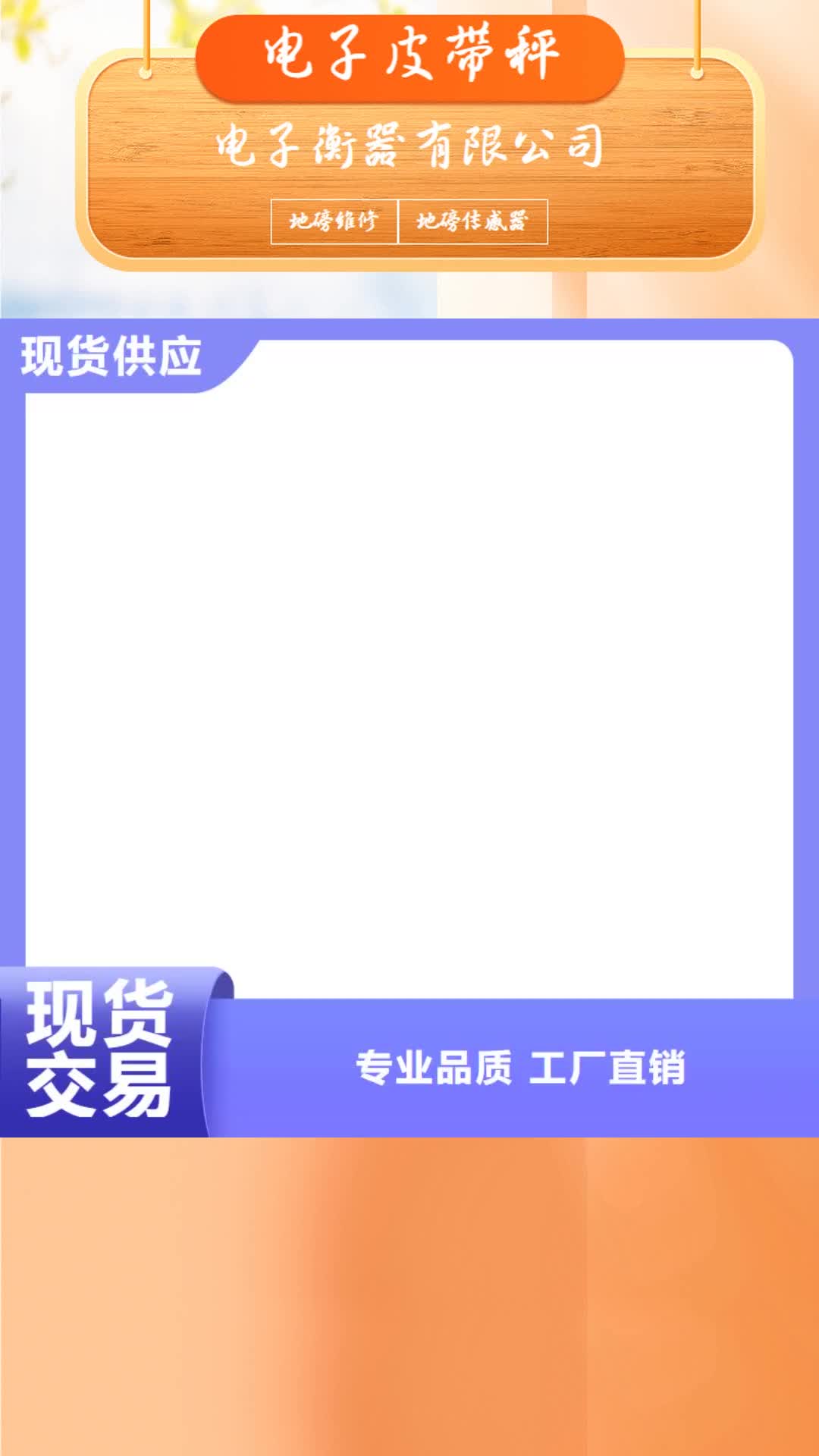 湖南 电子皮带秤 【地磅】正规厂家