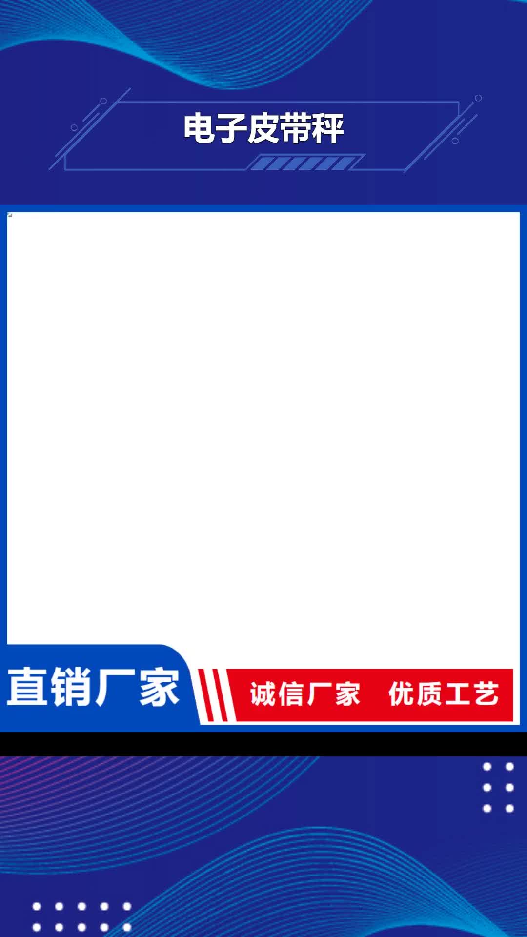 常德 电子皮带秤【电子地磅】我们更专业
