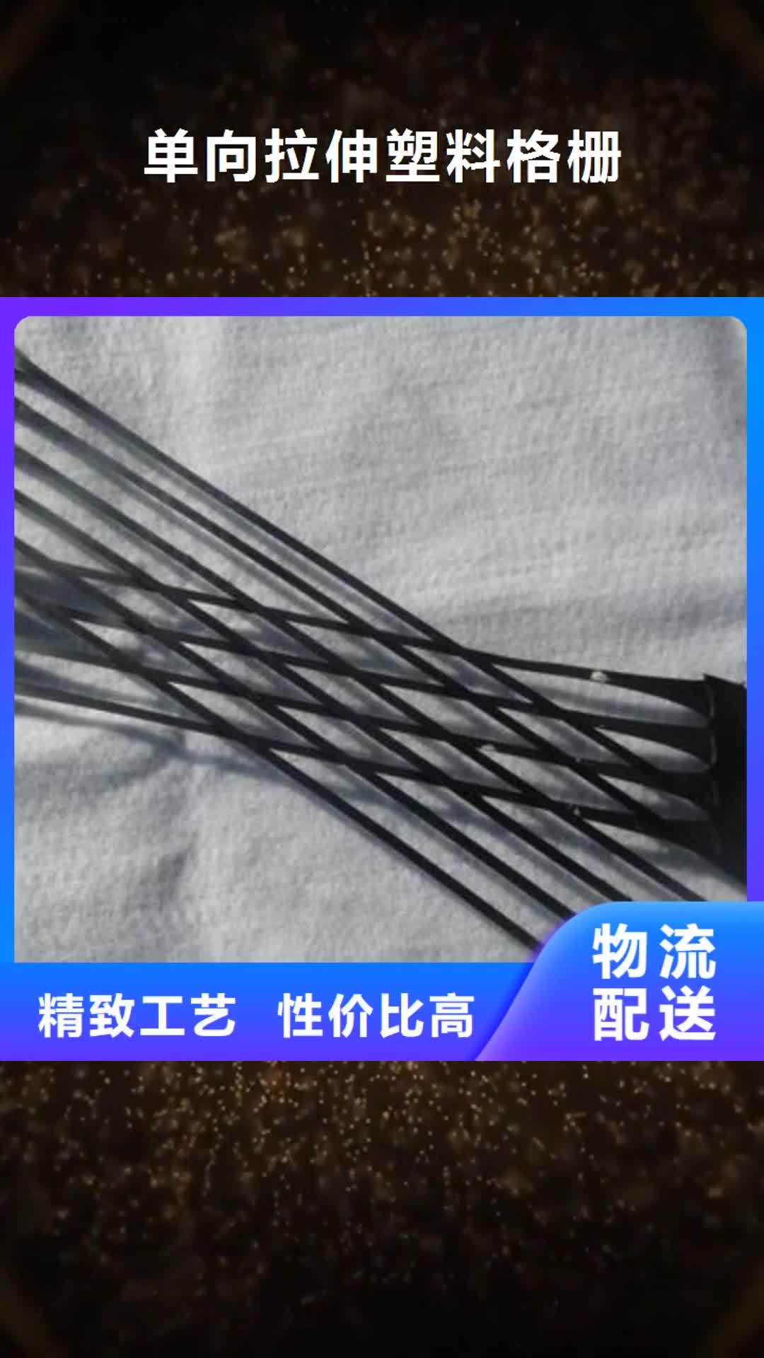 【黔南 单向拉伸塑料格栅,水土保护毯源头实体厂商】
