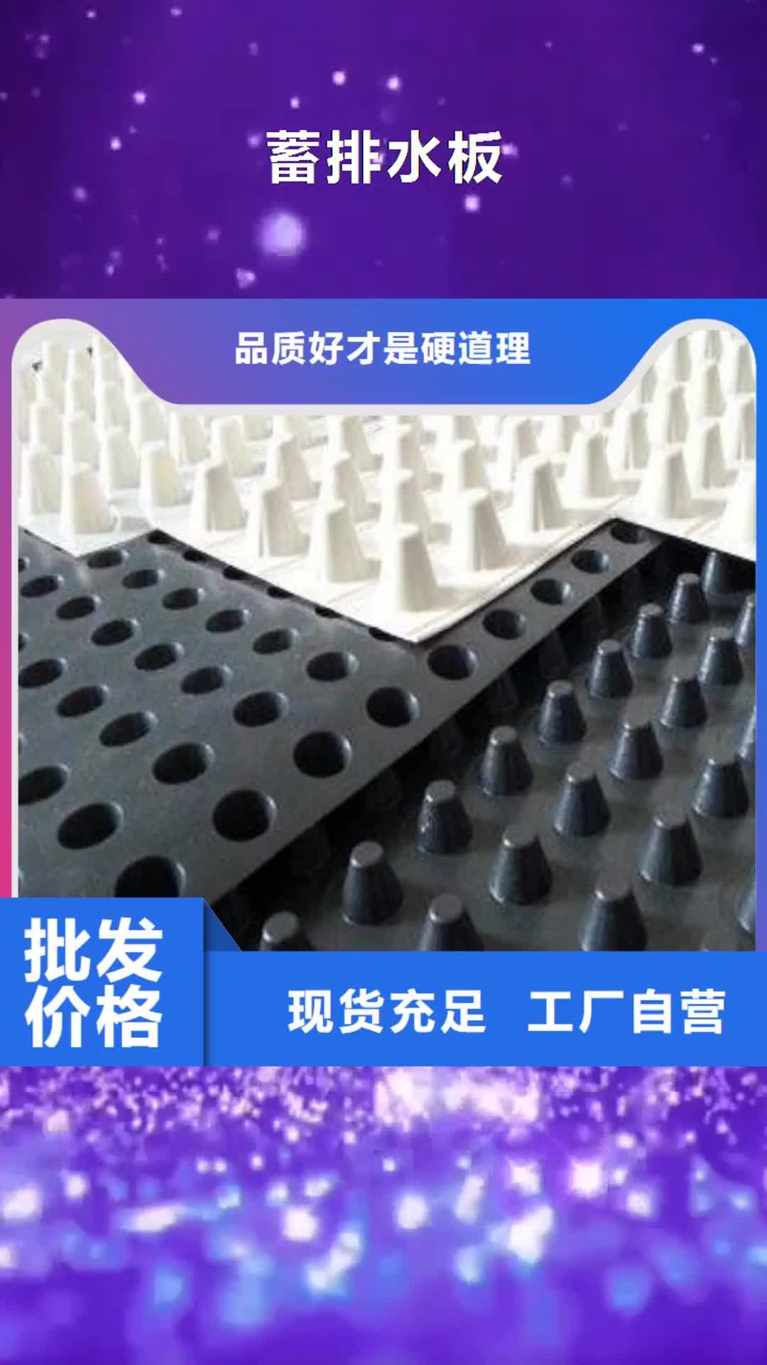 北京 蓄排水板_【双向拉伸土工格栅】海量现货直销