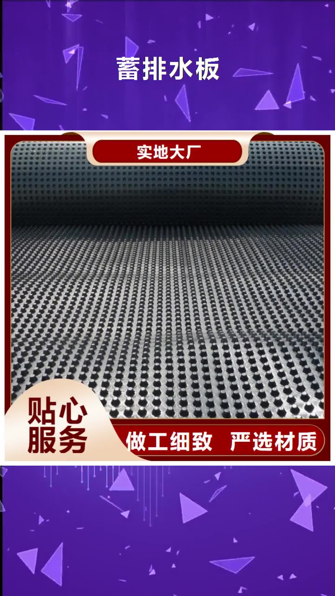 【东莞 蓄排水板 复合土工膜品质保障价格合理】