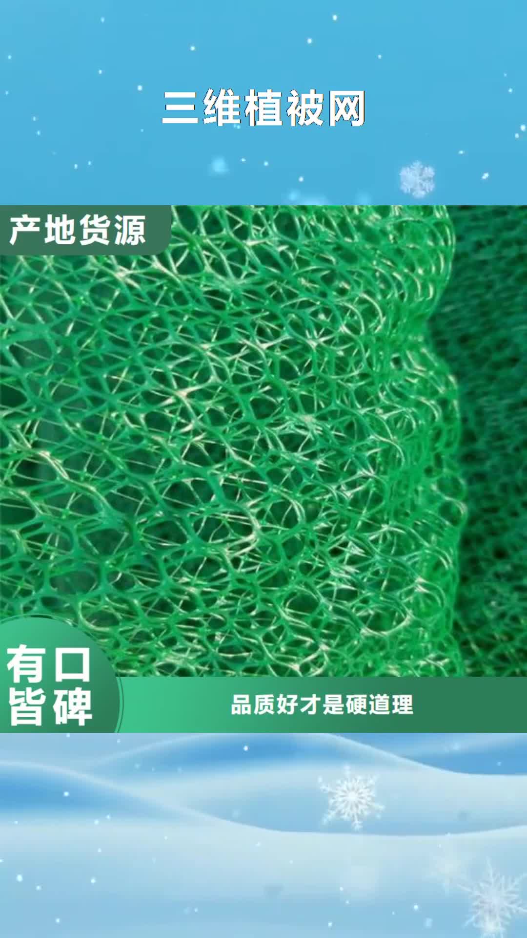 大庆 三维植被网 【水土保护毯】源头厂家