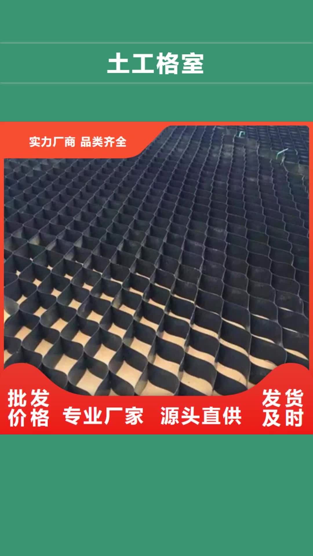 南宁 土工格室【三维复合排水网】购买的是放心