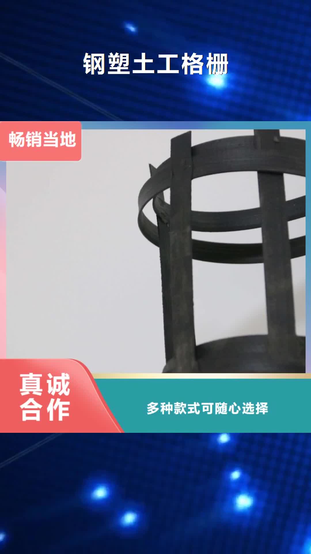 河池 钢塑土工格栅-【土工布批发】设备齐全支持定制