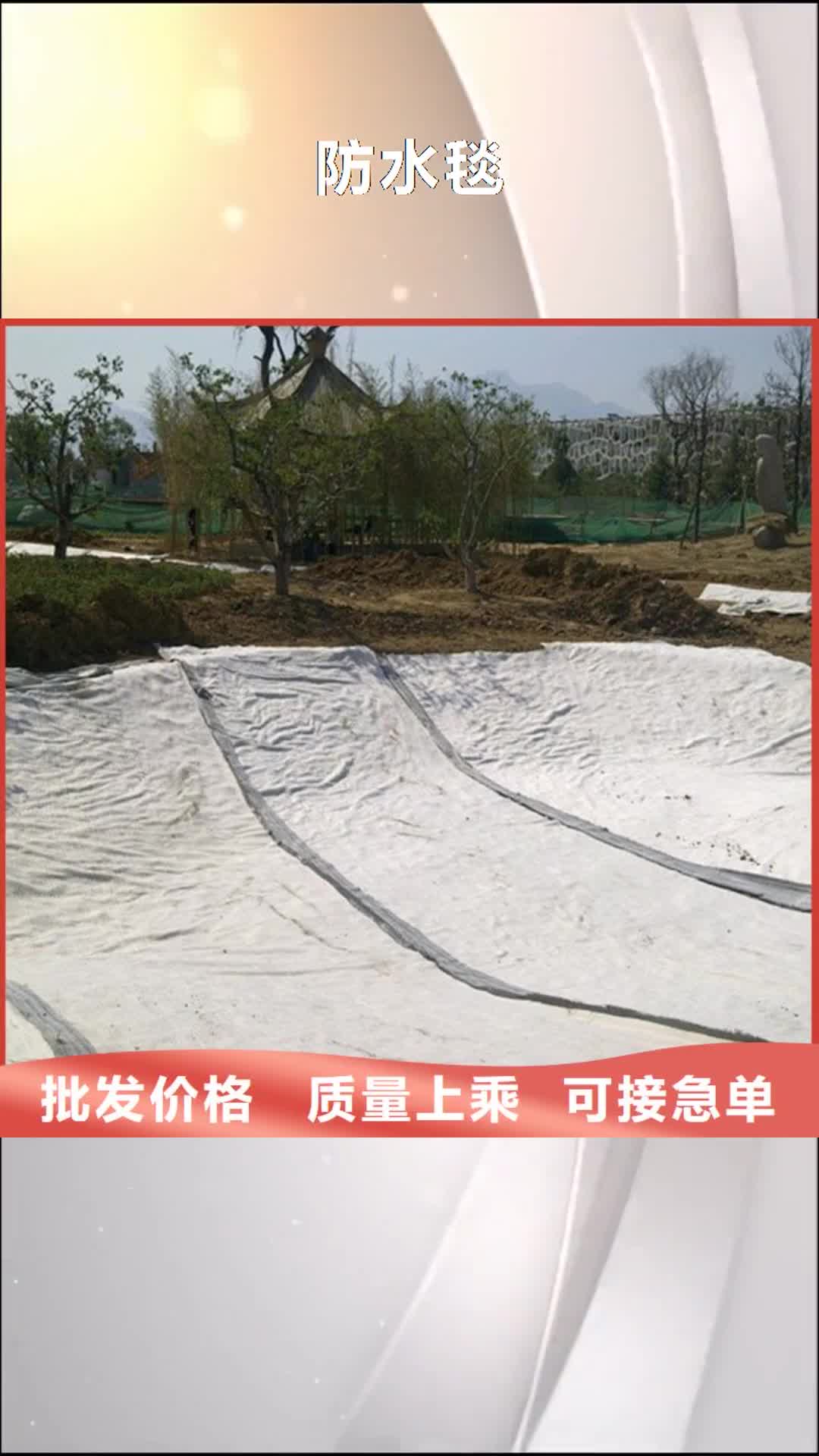 湛江【防水毯】,土工膜48小时发货