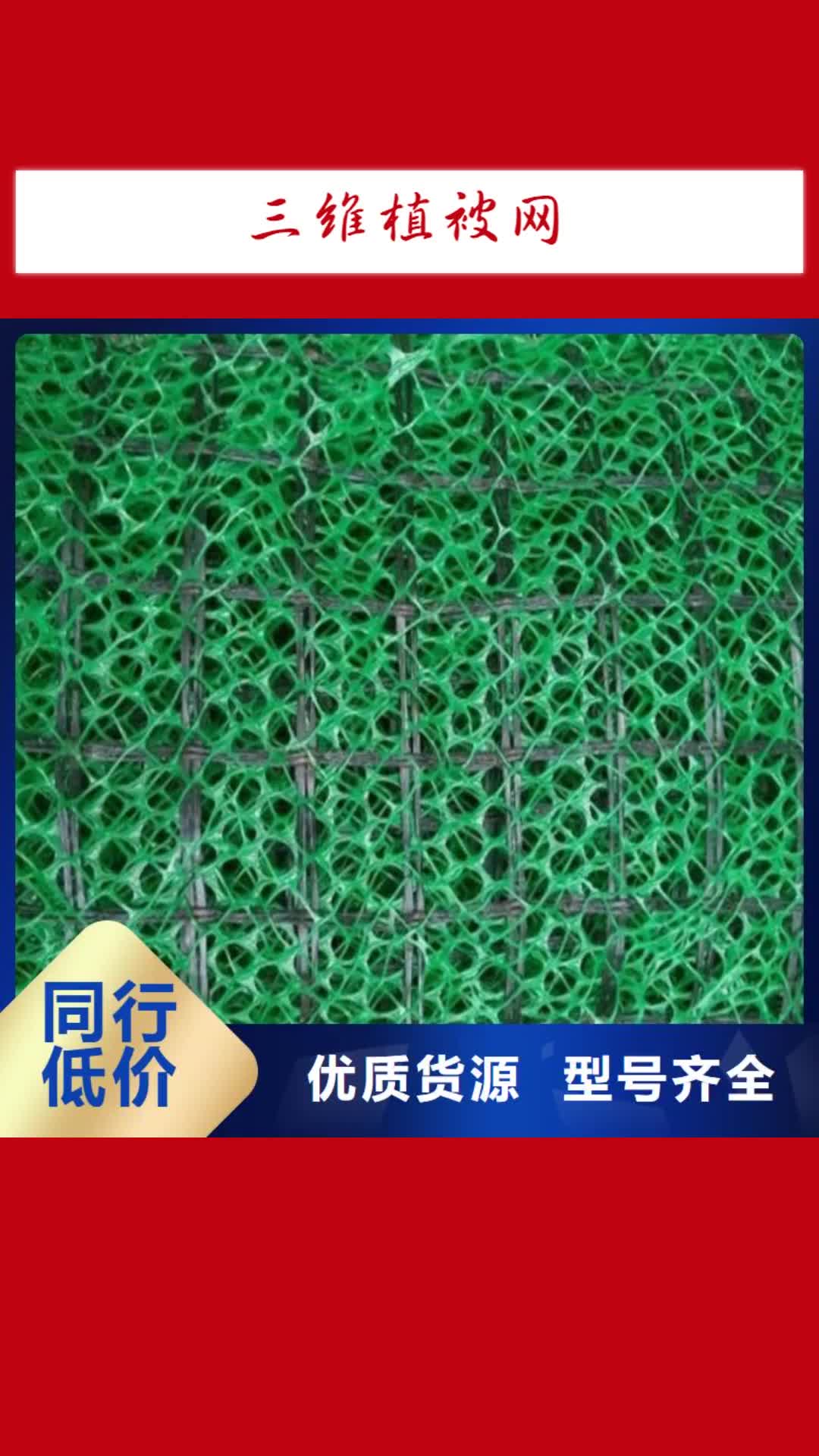 宣城 三维植被网 【多向塑料土工格栅】现货充裕