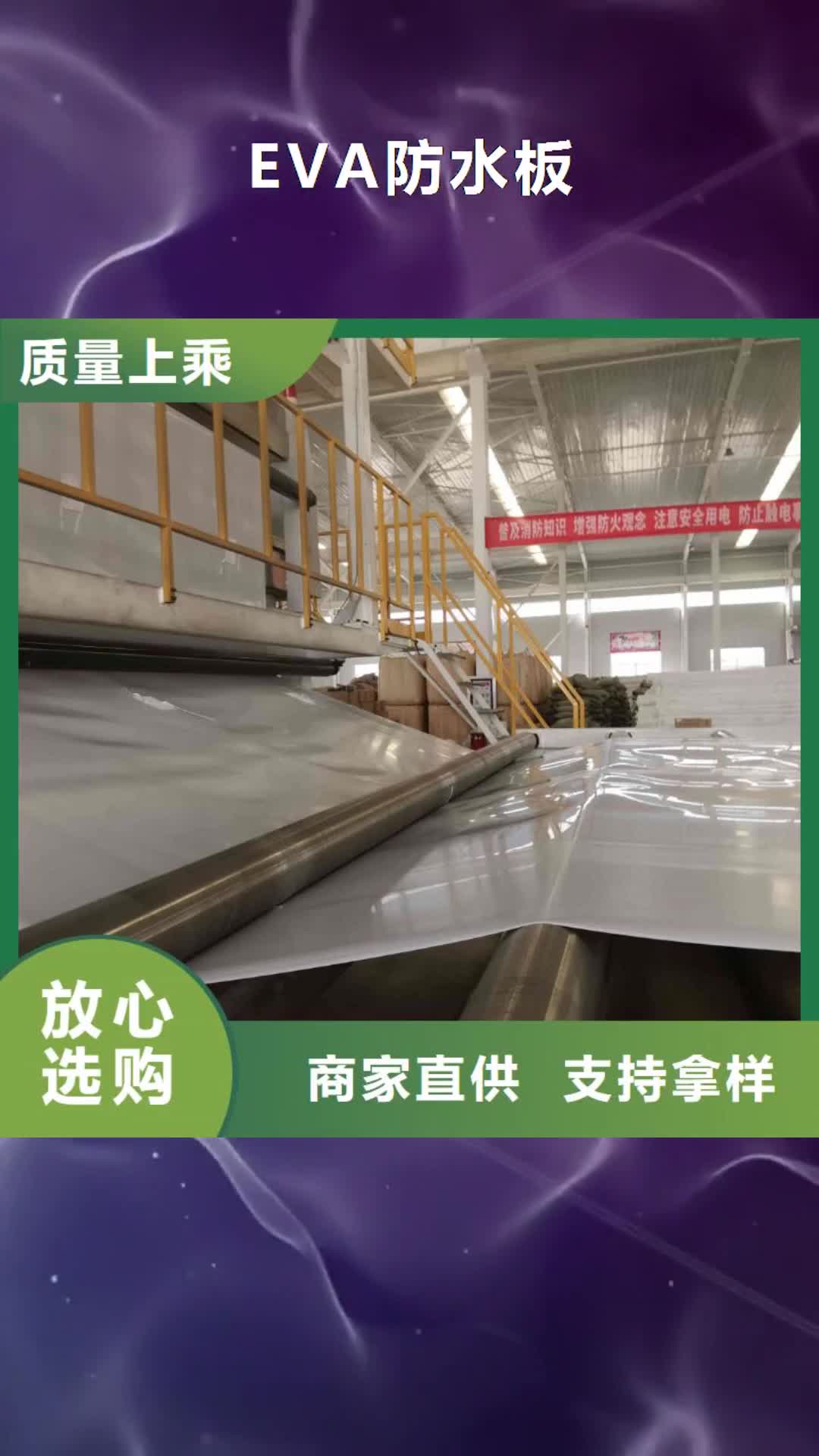 漯河 EVA防水板【钢塑土工格栅厂家】常年供应