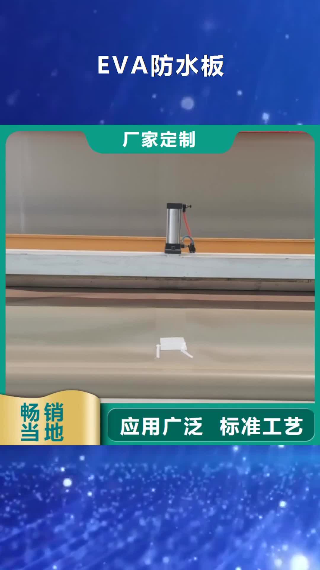云浮 EVA防水板 【聚丙烯双拉土工格栅】快捷的物流配送