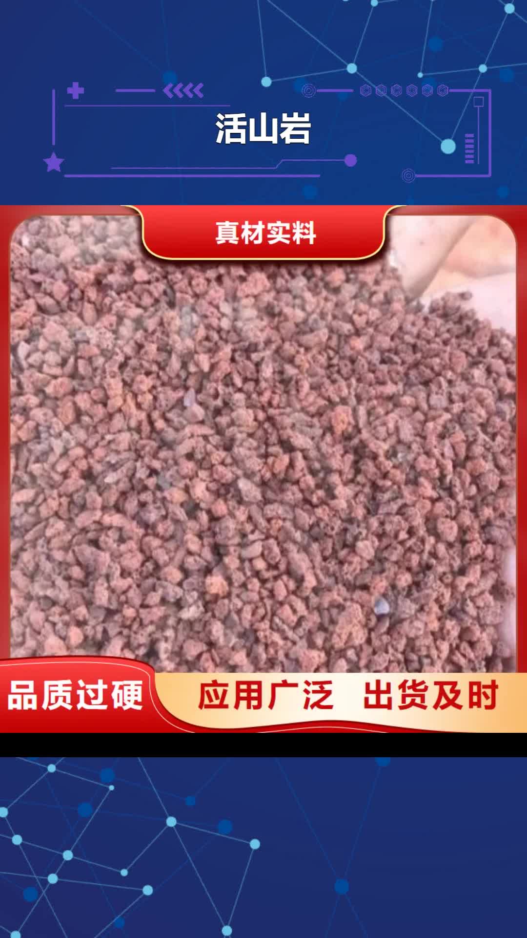 南充【活山岩】,斜板填料专注品质