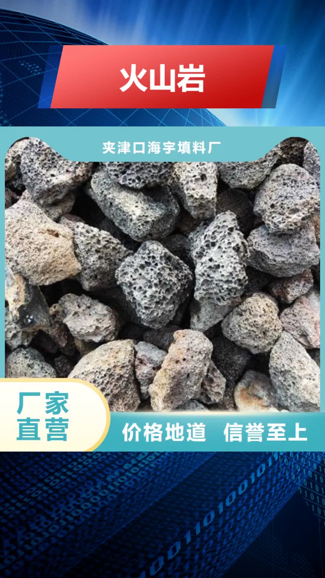泸州 火山岩-【彗星式纤维滤料】快速物流发货