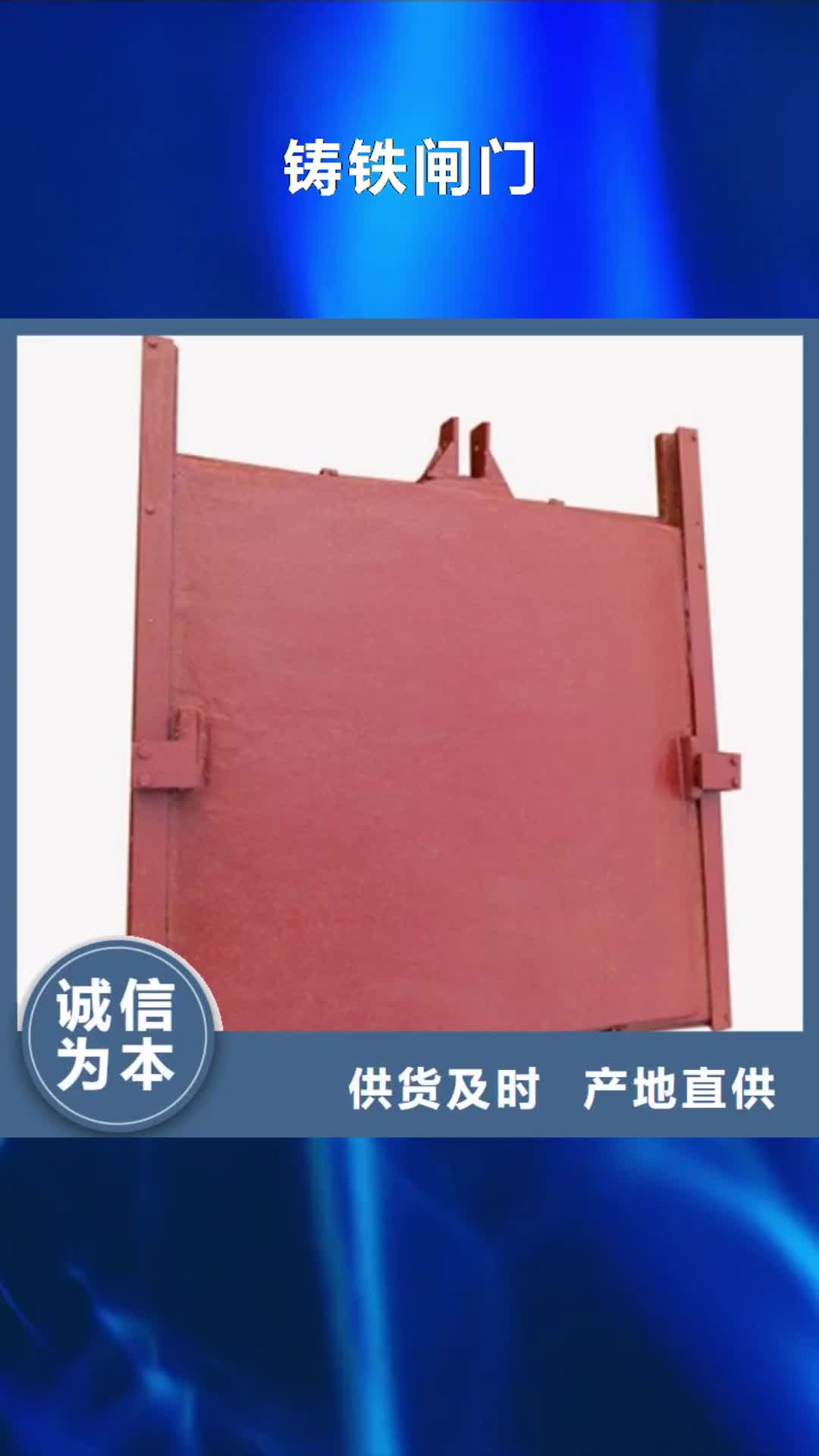 镇江 铸铁闸门【镶铜铸铁闸门】工厂直营