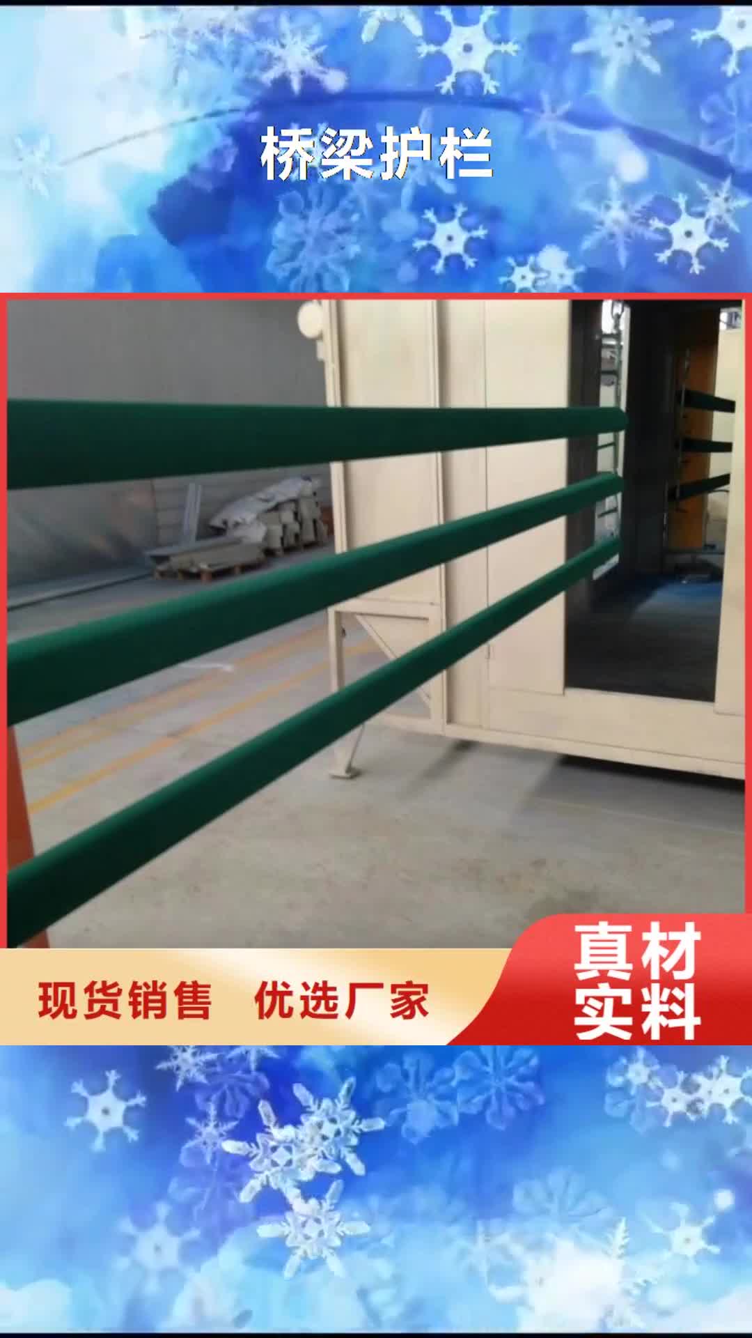 焦作 桥梁护栏工程施工案例