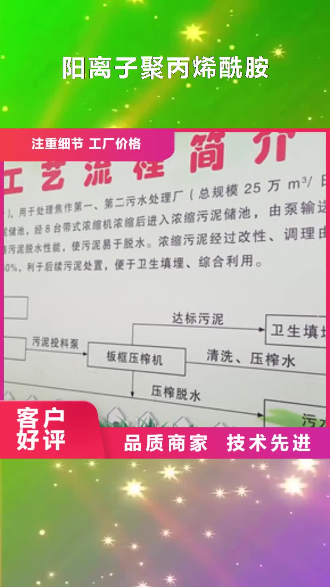 【西安 阳离子聚丙烯酰胺_洗煤絮凝剂常年供应】