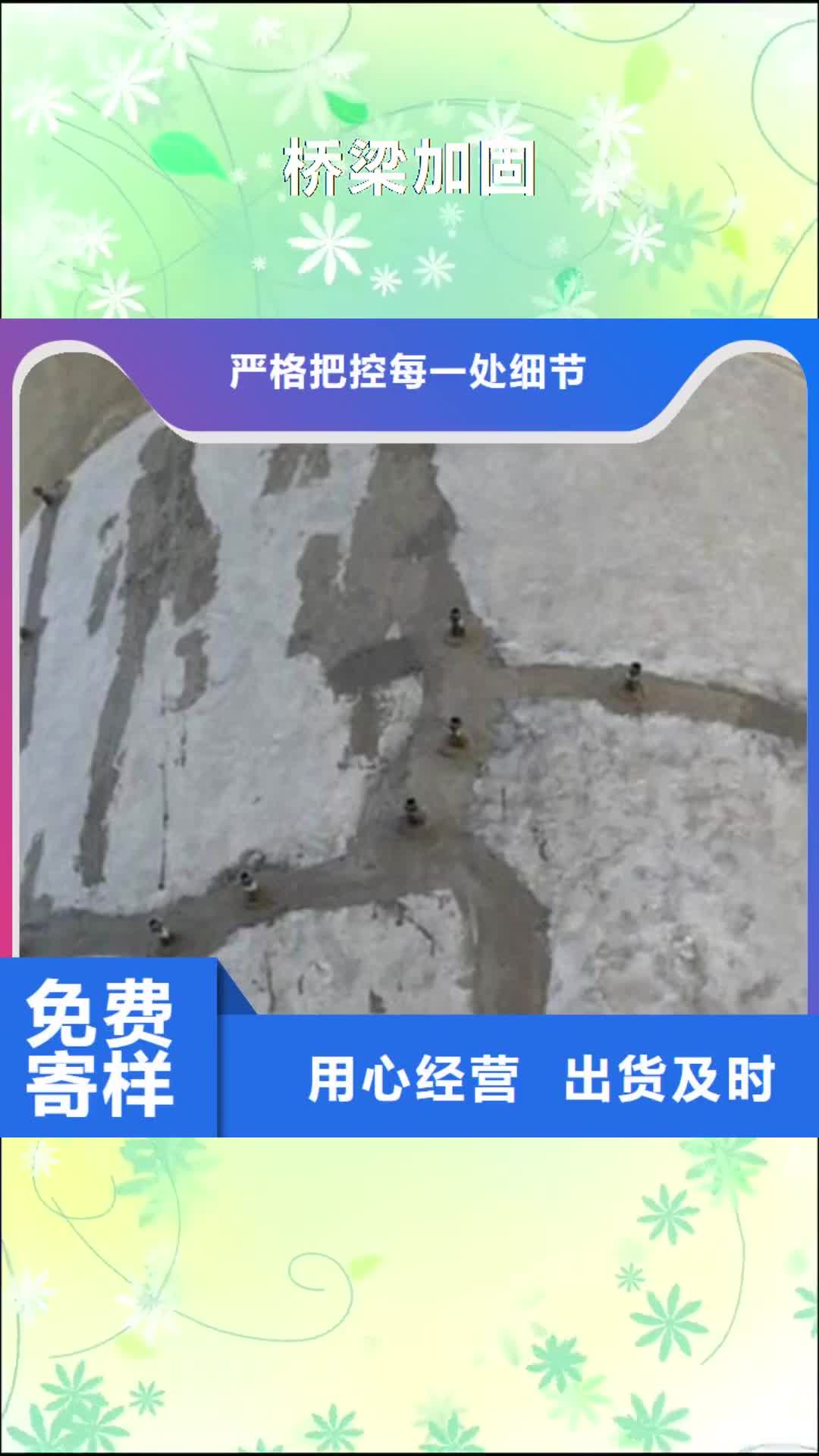 江苏 桥梁加固-【聚氯乙烯胶泥】品质无所畏惧