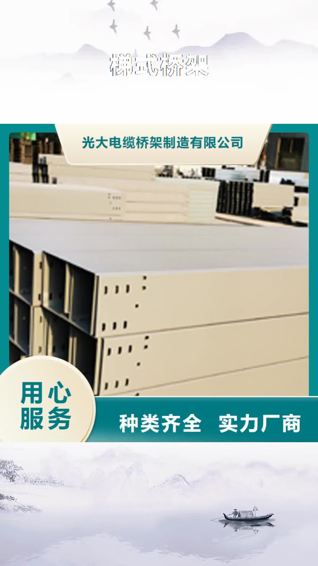 日照 梯式桥架 【槽式桥架厂家】精挑细选好货