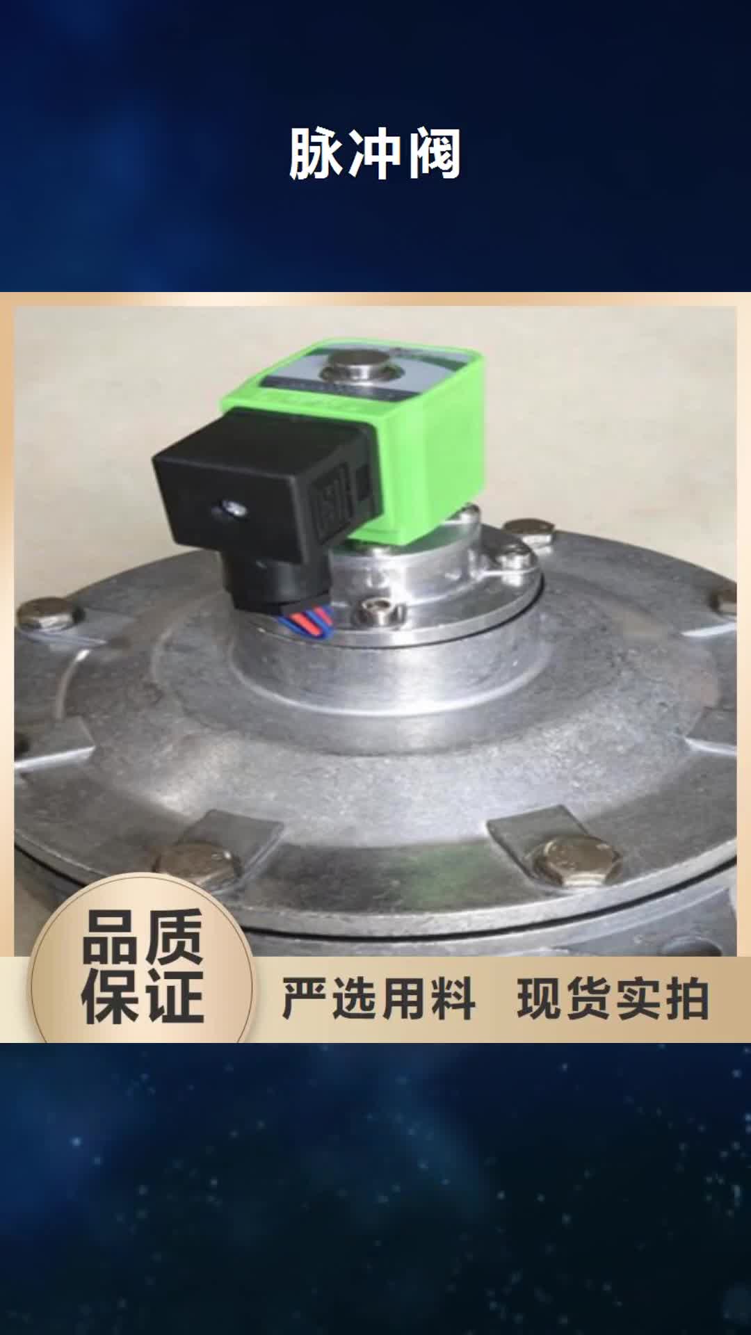 马鞍山【脉冲阀】_斗式机斗提机厂家多家仓库发货