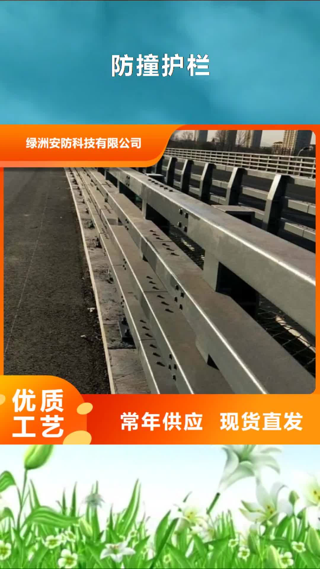 【临沂 防撞护栏,镀锌喷塑钢板立柱厂家货源稳定】