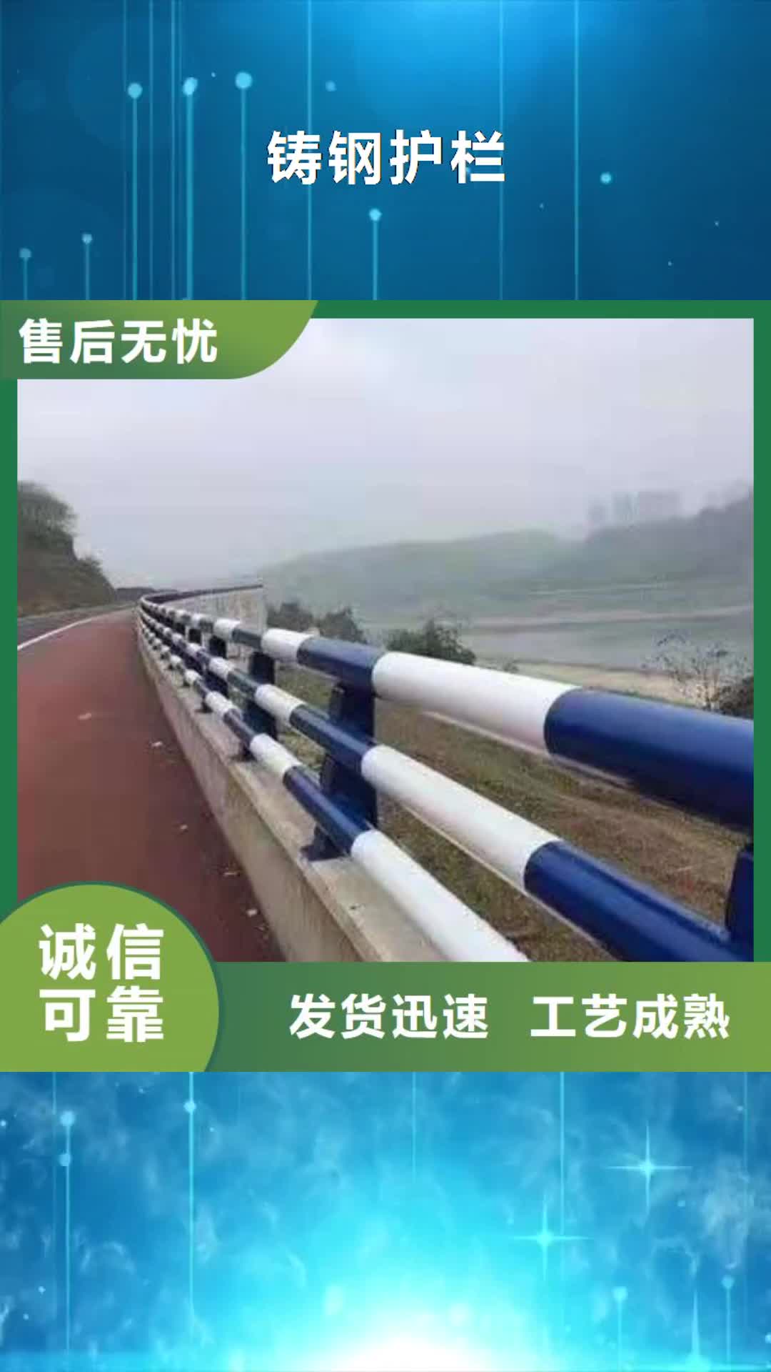 乐山【铸钢护栏】 锌钢护栏源厂直销