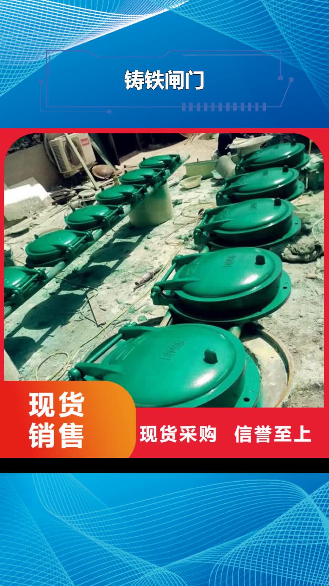 遵义 铸铁闸门,【泵站铸铁闸门】准时交付