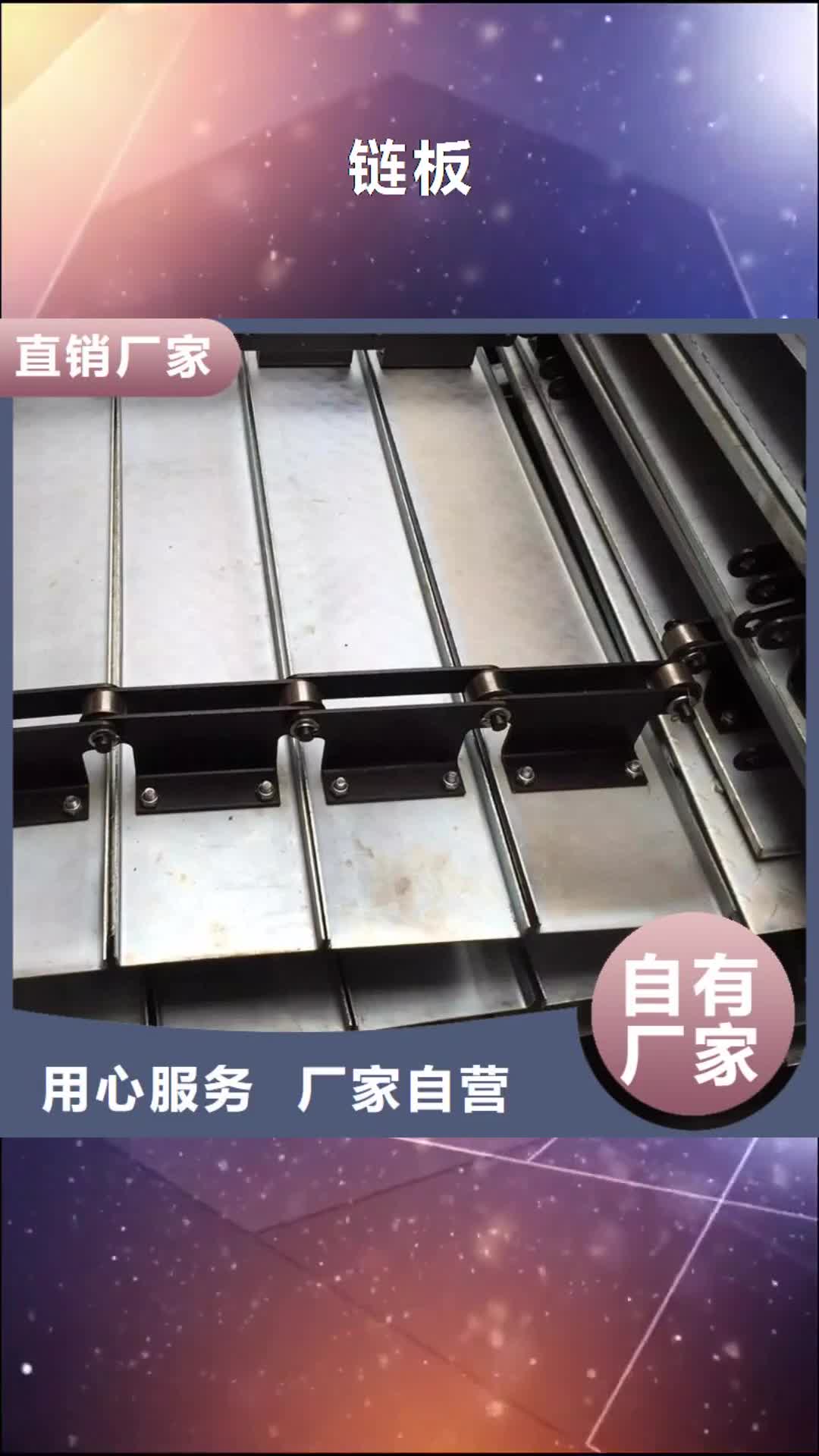【泰安 链板-输送带厂家实拍展现】