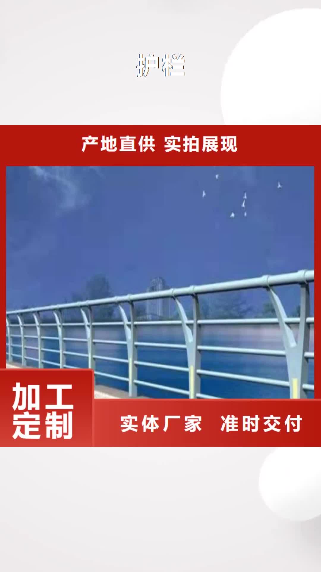 河南【护栏】桥梁防撞护栏颜色尺寸款式定制