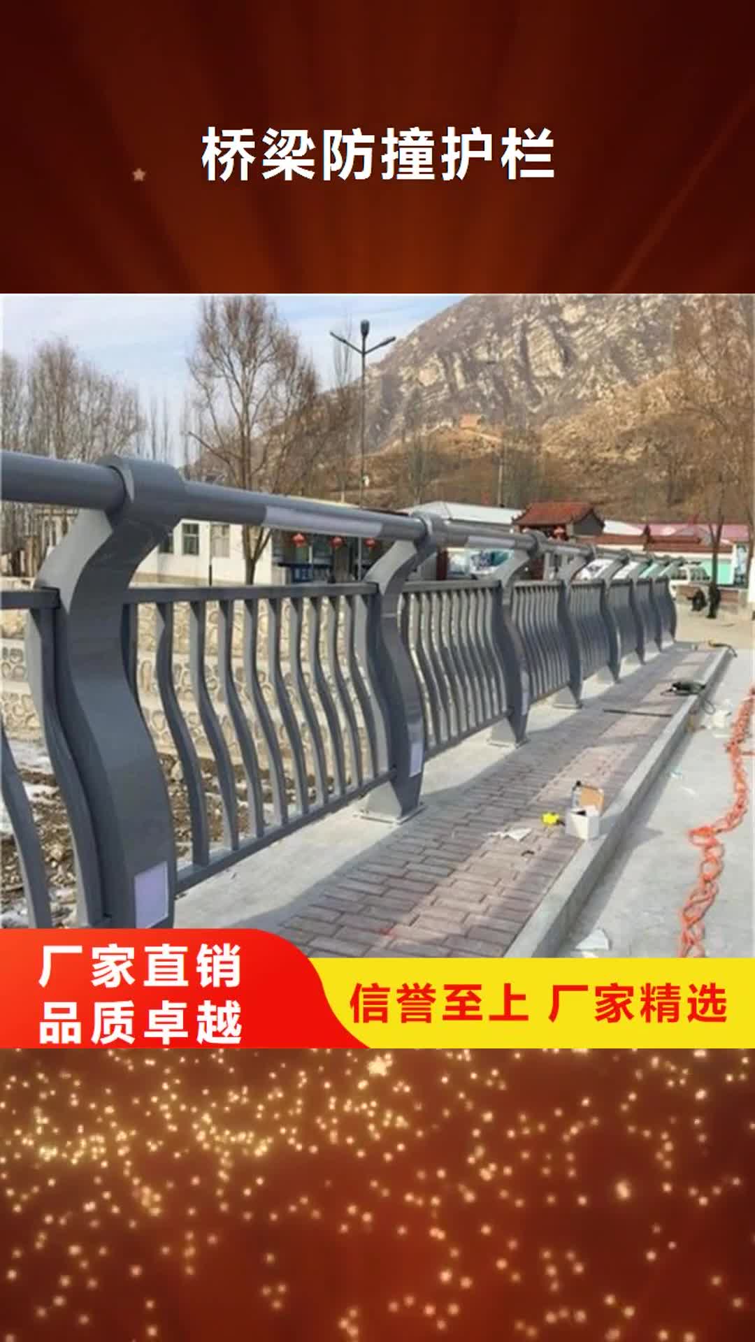【枣庄 桥梁防撞护栏 钢板立柱买的是放心】