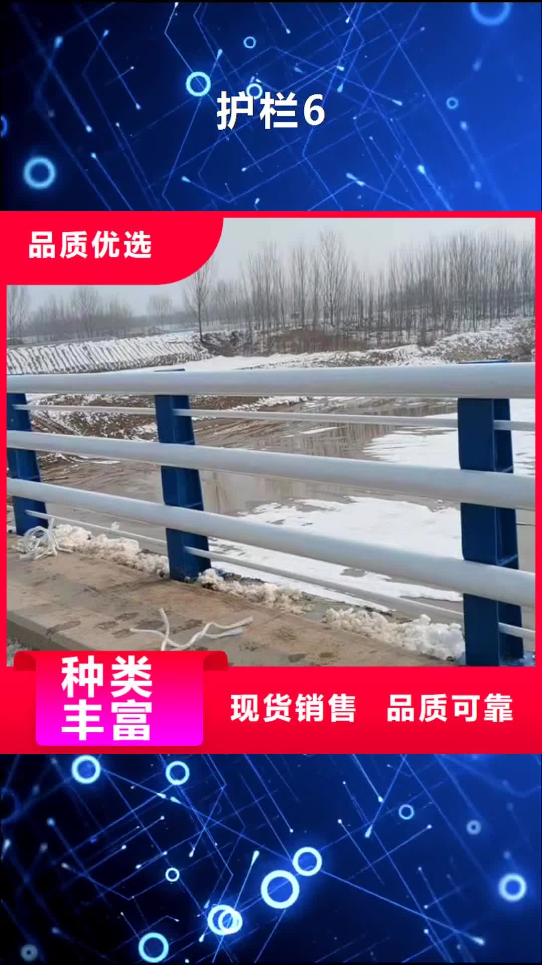 吉林【护栏6】-防撞桥梁护栏厂价格公道合理
