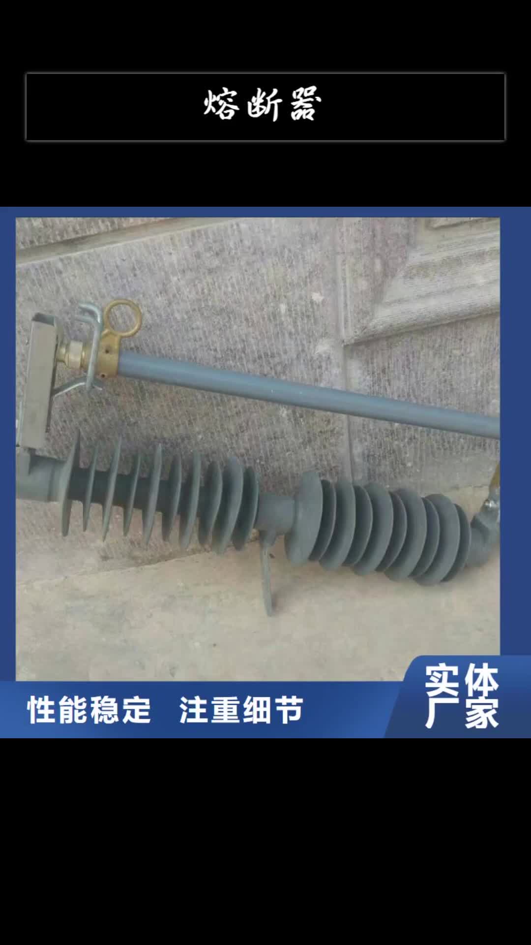 【西双版纳 熔断器真空断路器敢与同行比质量】