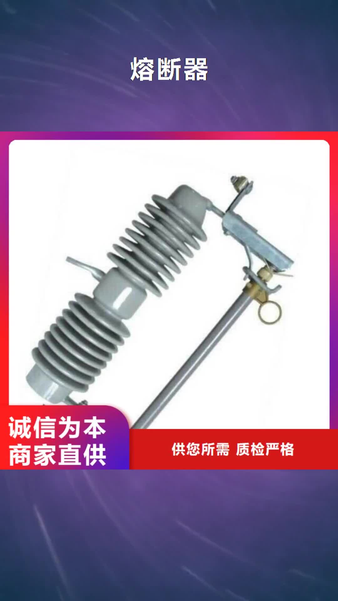 河源 熔断器-【绝缘子】助您降低采购成本