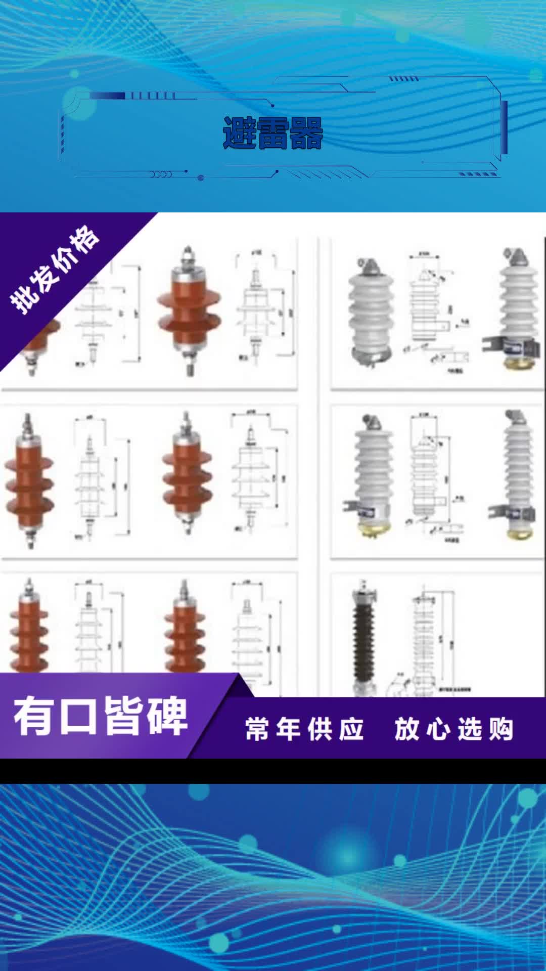黔西南避雷器绝缘子品质做服务