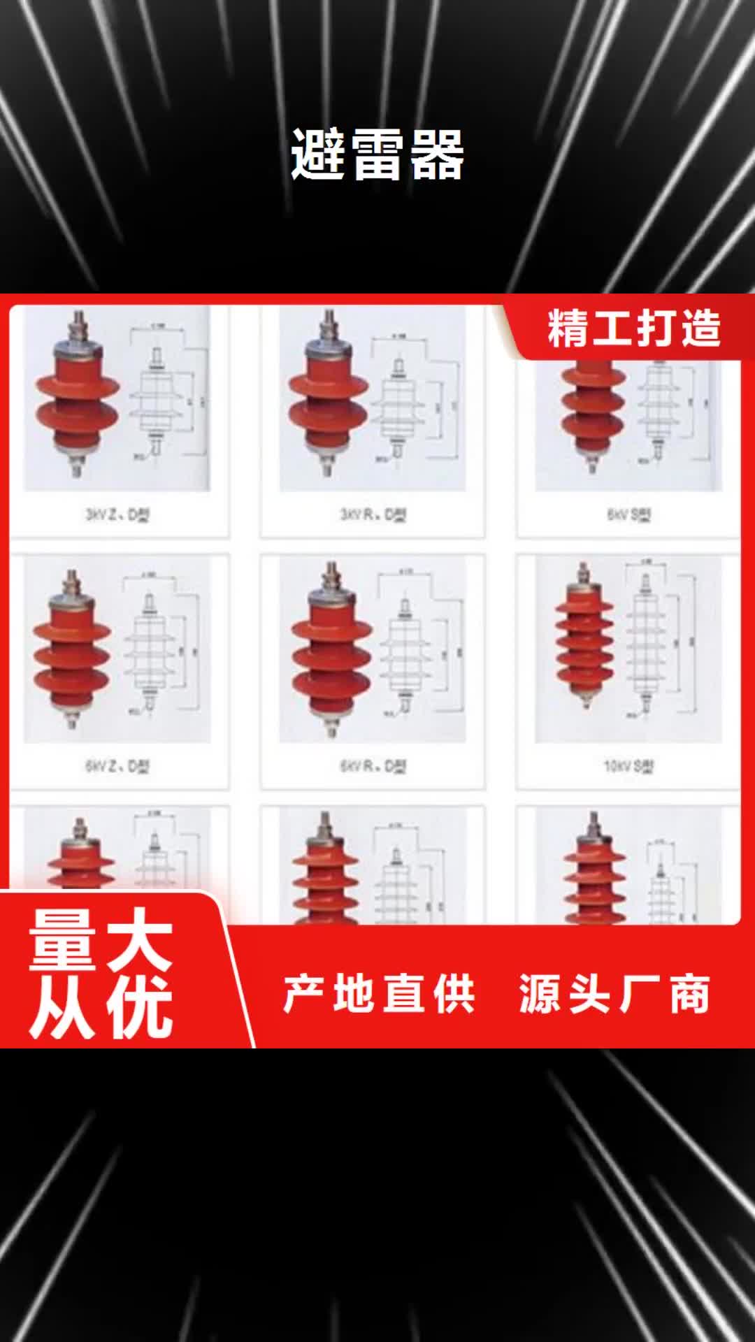 【太原避雷器-绝缘子厂家支持定制批发】
