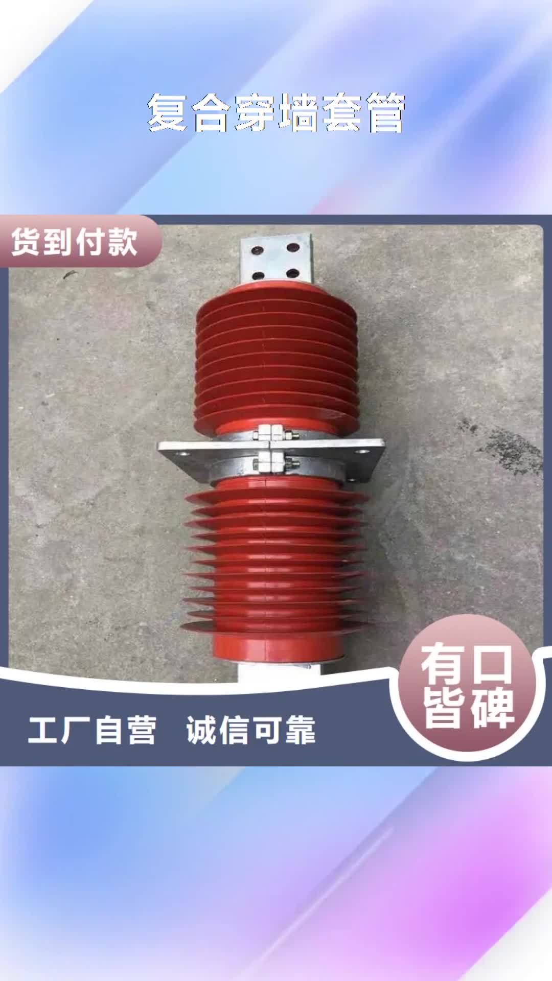 江苏复合穿墙套管绝缘子厂家品质优良