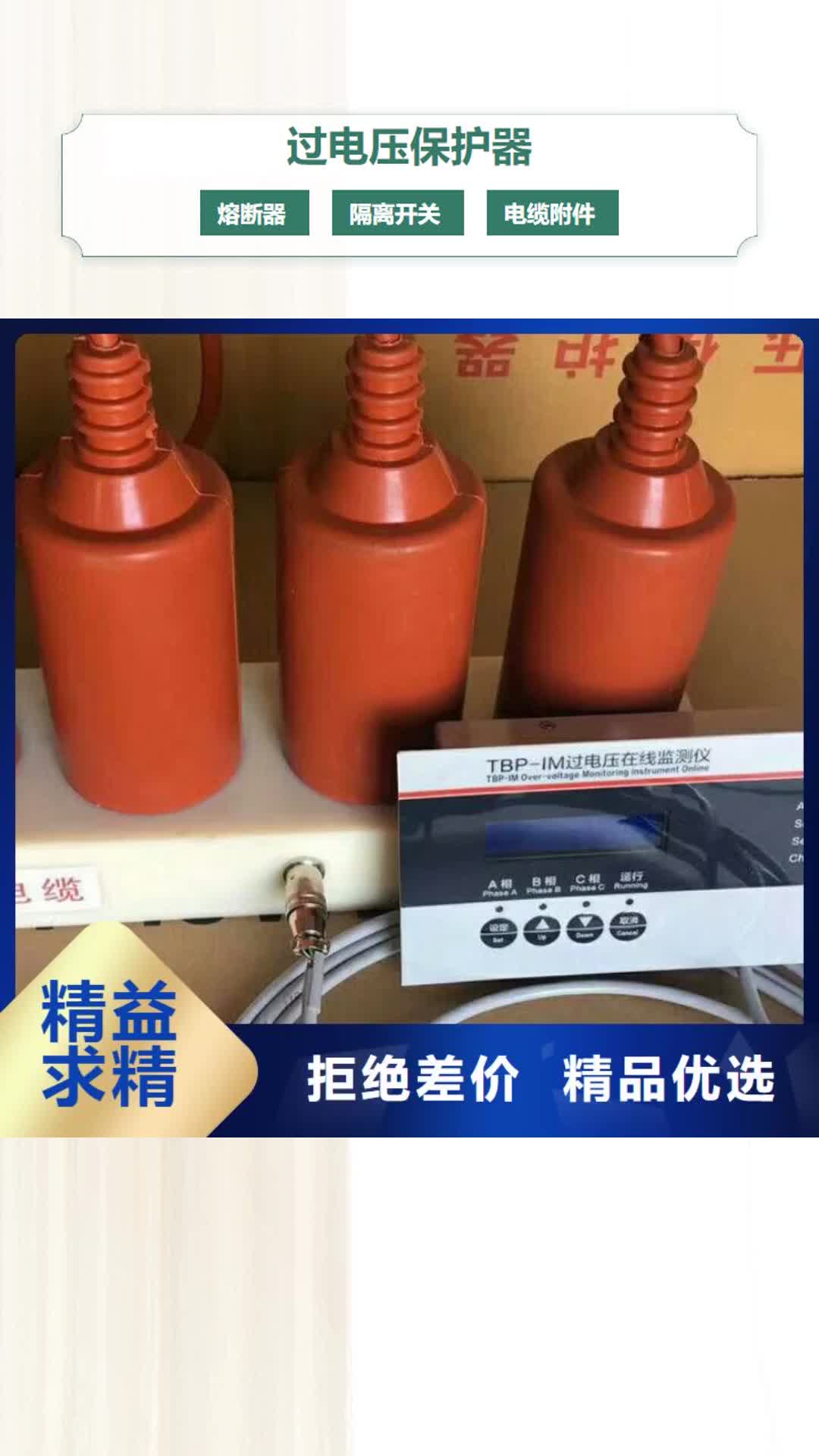 衢州过电压保护器绝缘子厂家无中间商厂家直销