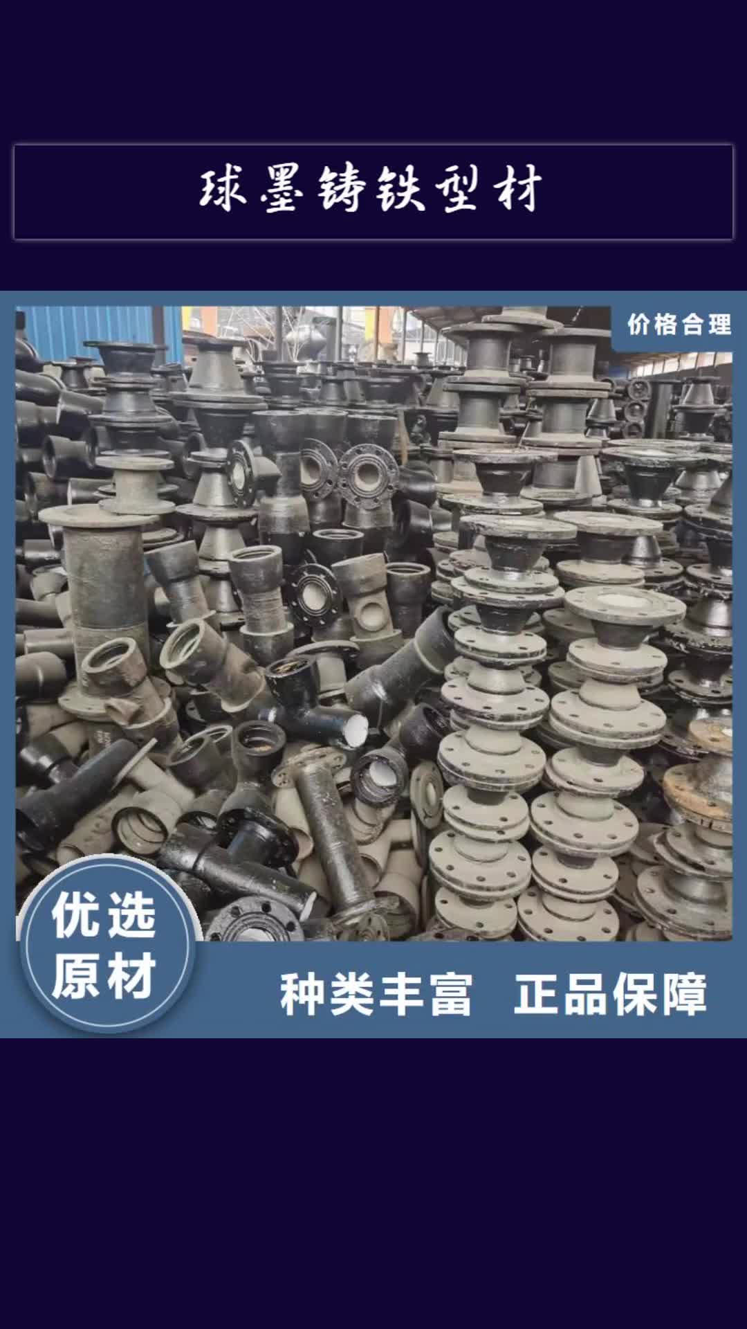 赣州 球墨铸铁型材-【无缝钢管厂家】品质卓越