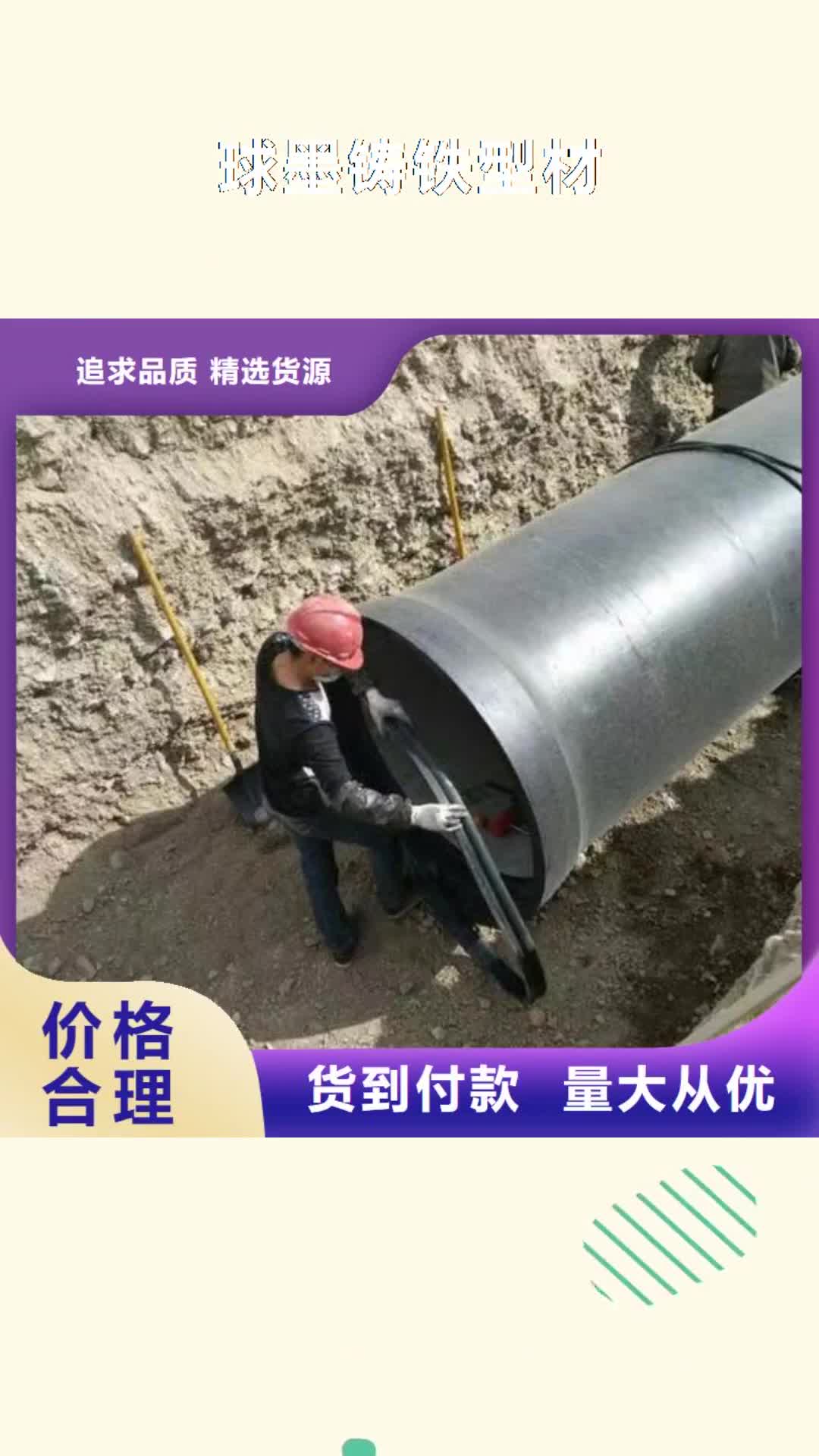 宿迁 球墨铸铁型材【球墨铸铁棒】免费询价