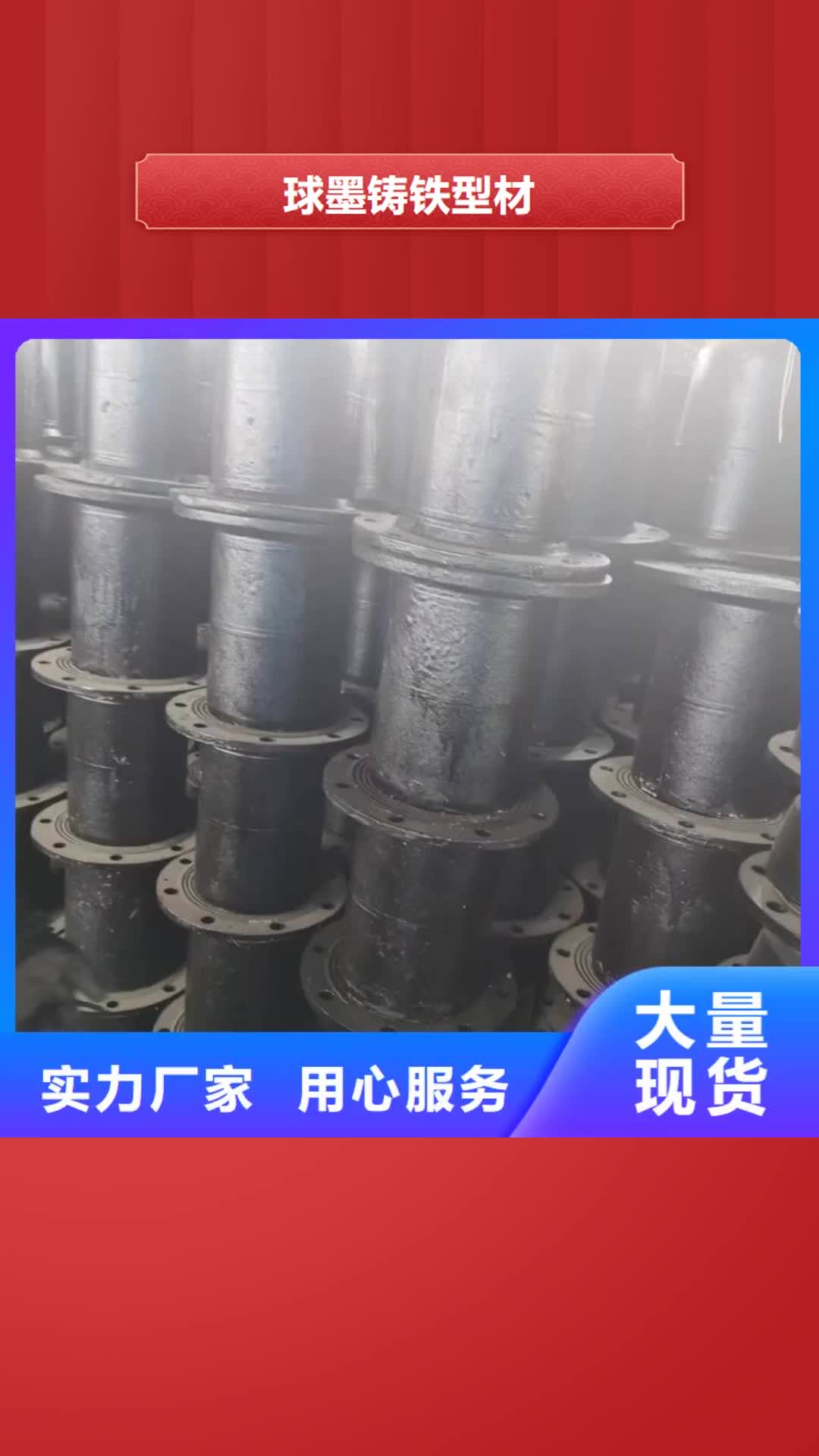 安阳 球墨铸铁型材,【球墨铸铁棒】厂家规格全