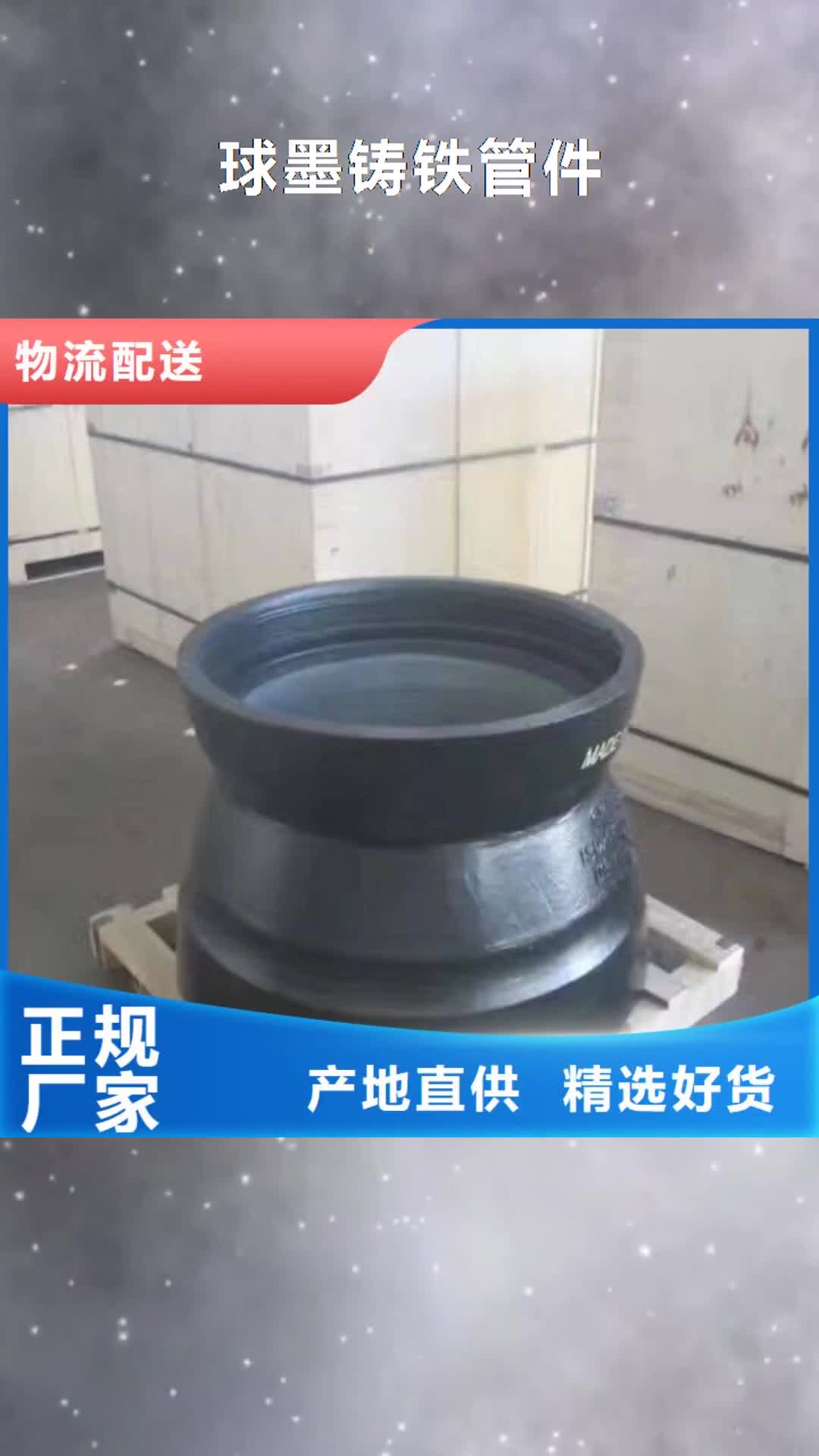 【玉树 球墨铸铁管件 柔性铸铁排水管专注细节使用放心】