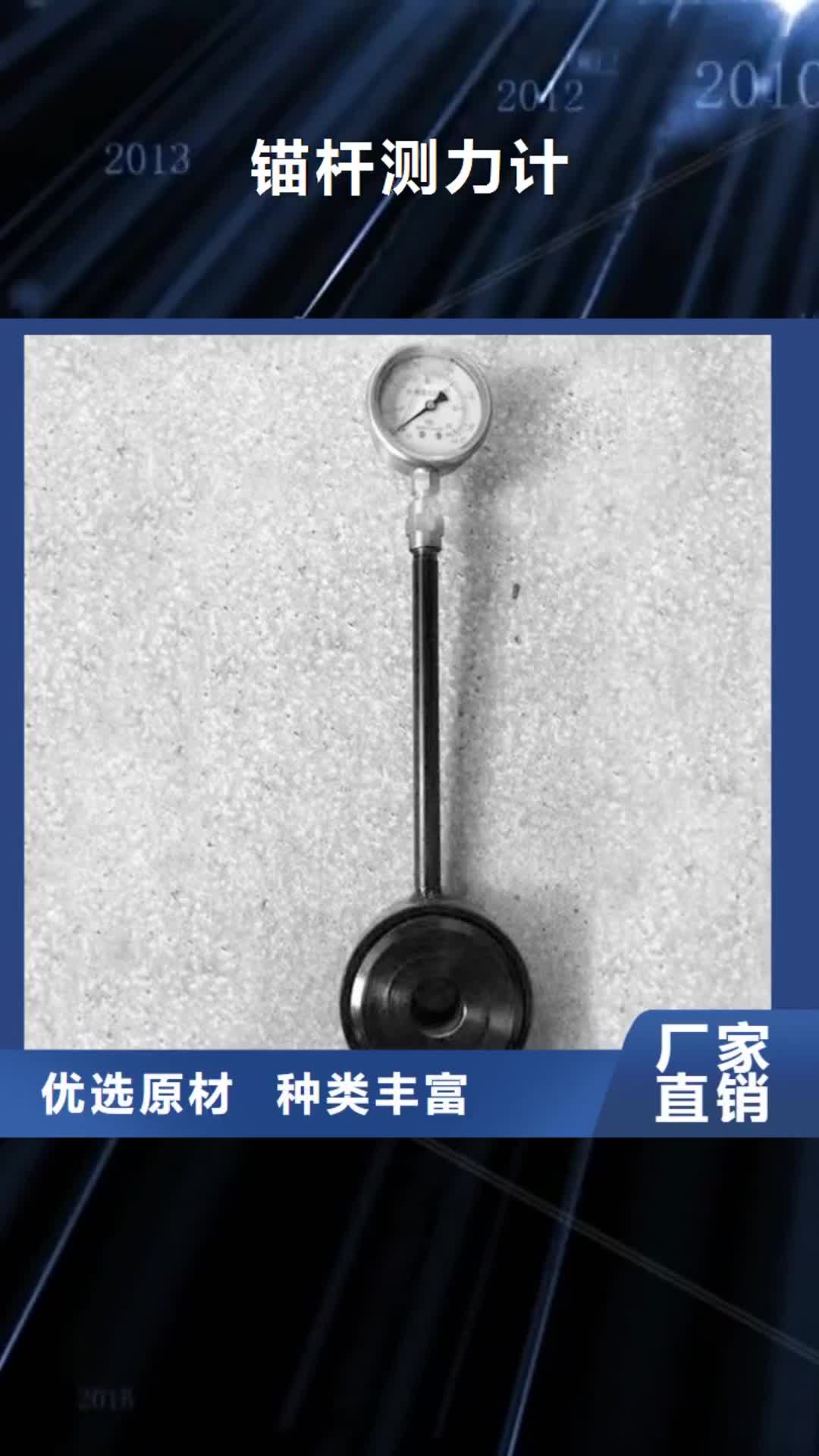 舟山【锚杆测力计】 DW-4多点位移计型号齐全