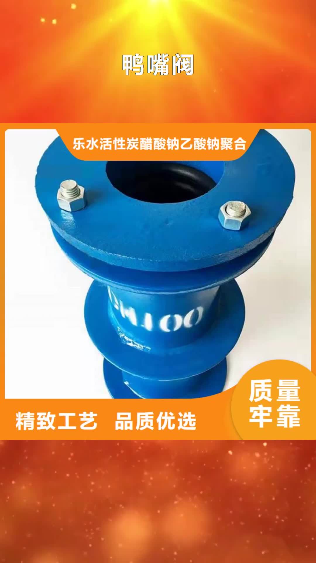【台州 鸭嘴阀,柔性/刚性防水套管打造行业品质】