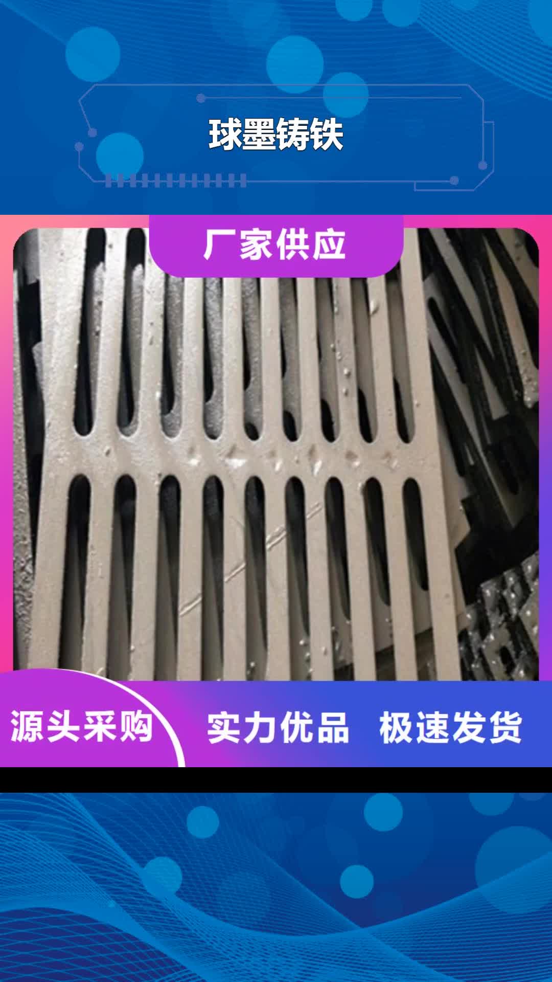 咸阳 球墨铸铁_【球墨铸铁篦子】多种工艺