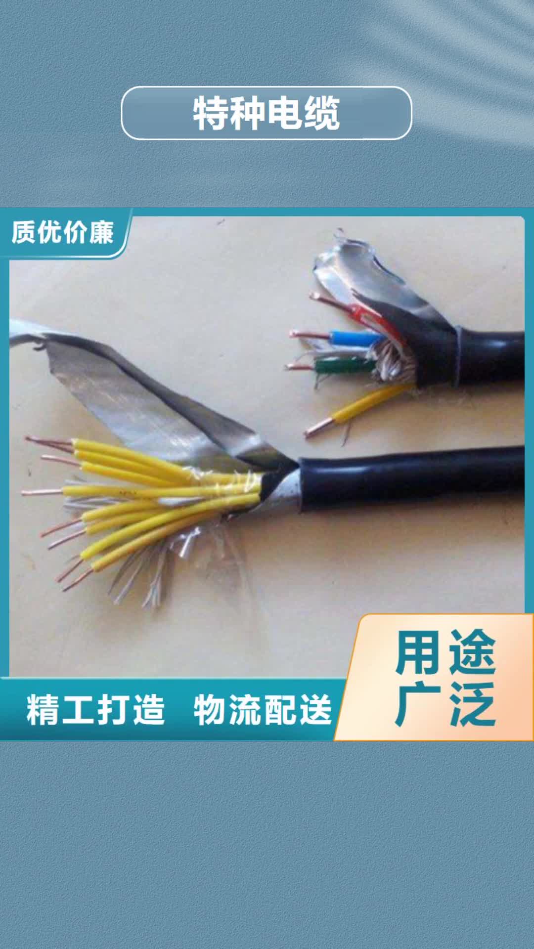 扬州【特种电缆】-通信电缆用心制作