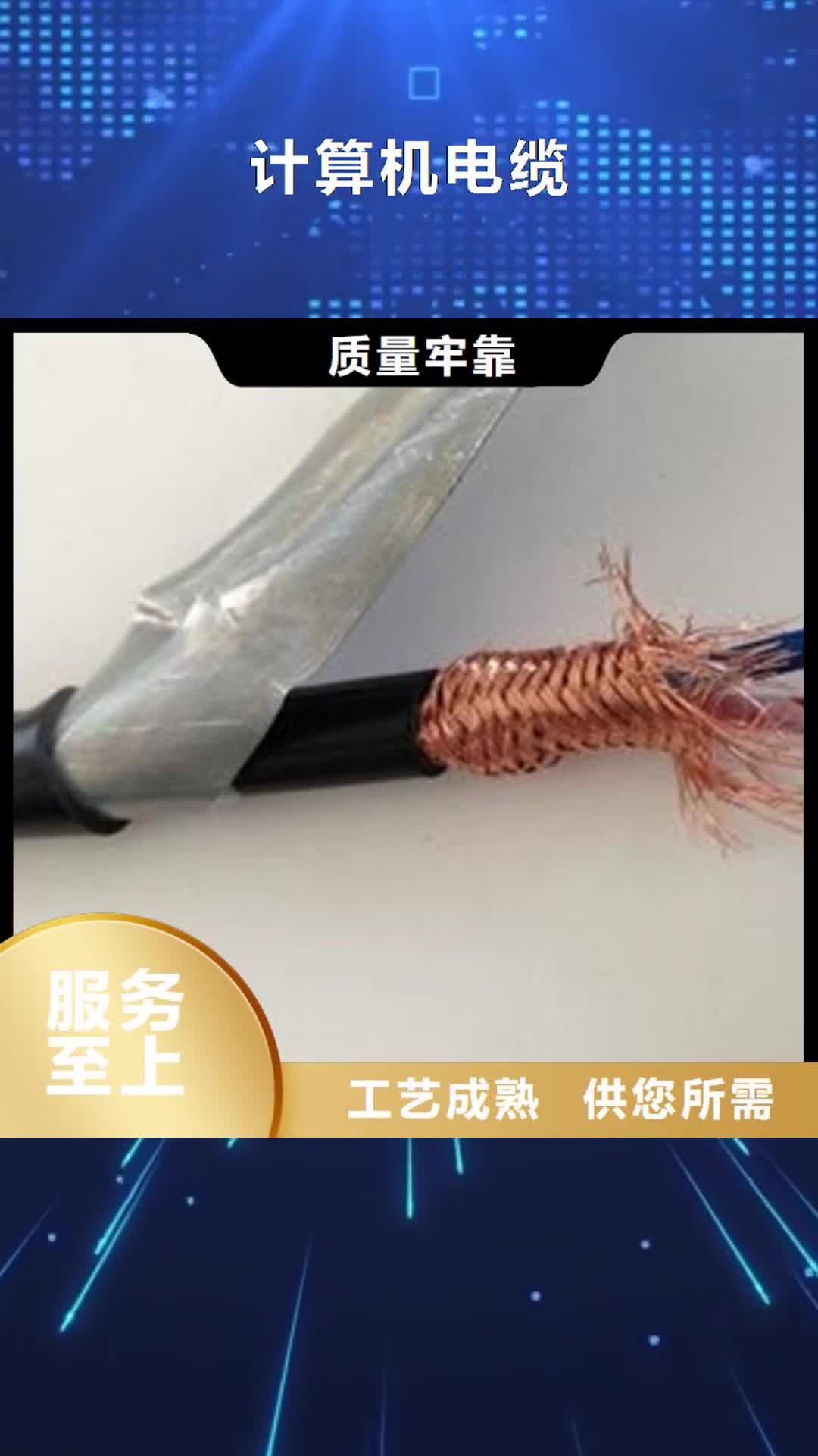 张掖 计算机电缆_【屏蔽电缆】颜色尺寸款式定制