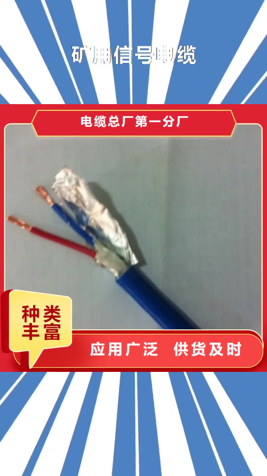 舟山【矿用信号电缆】,信号电缆经验丰富品质可靠