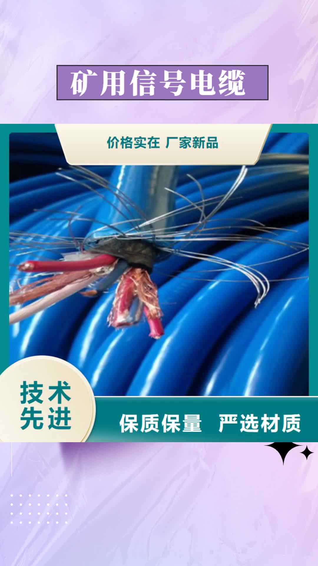 黔南 矿用信号电缆 【屏蔽电缆】丰富的行业经验