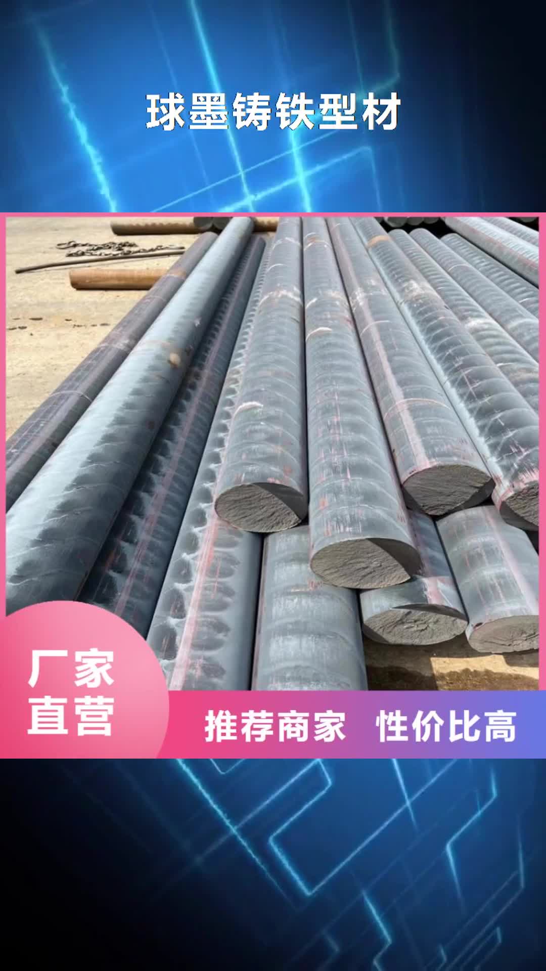 【宁波 球墨铸铁型材N200球墨铸铁管好产品有口碑】